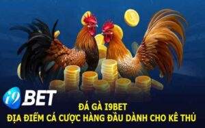 đá gà i9bet